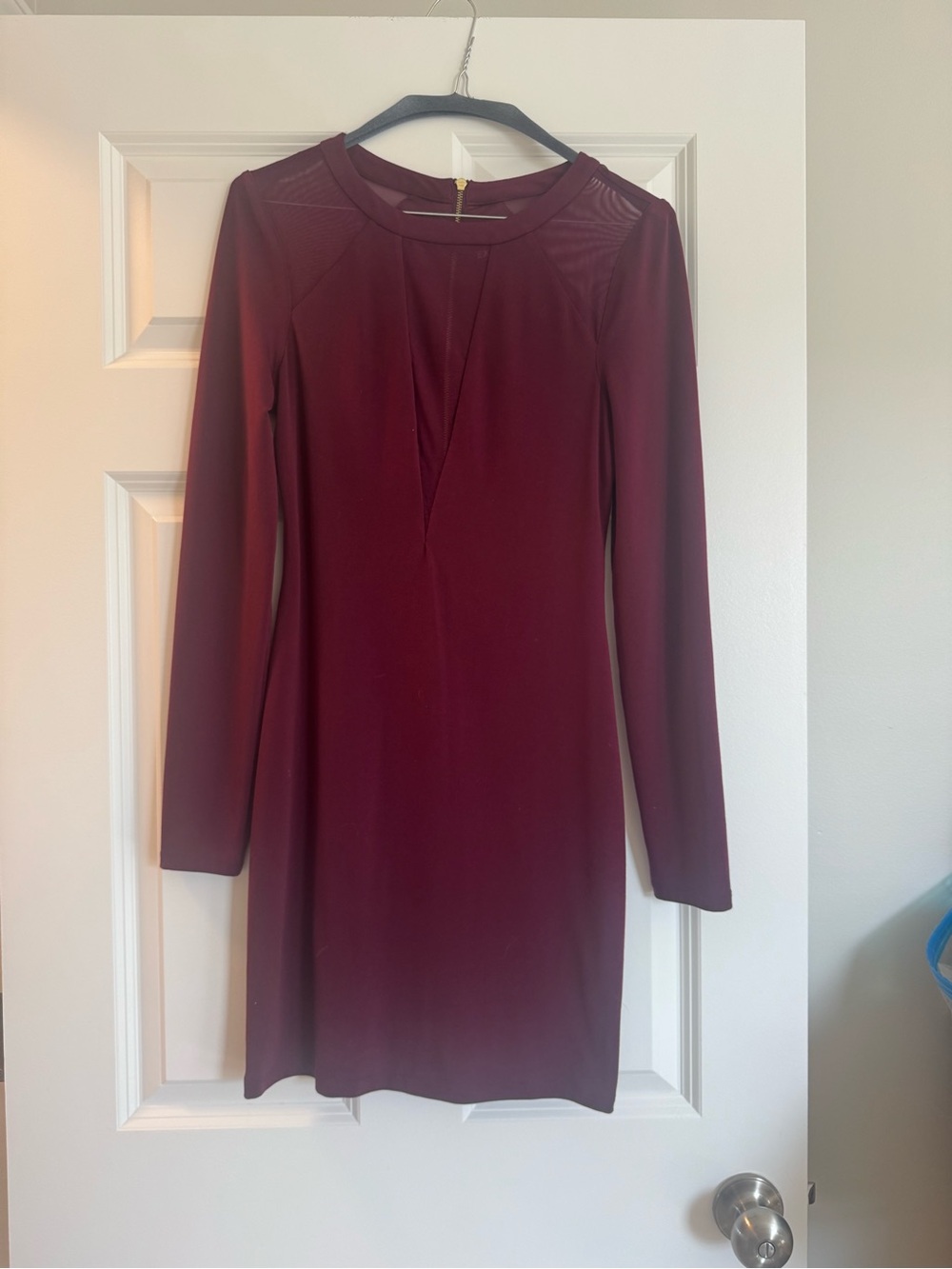 Express Burgundy Long-Sleeve Mini Dress